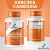 garcinia-cambogia-b+3