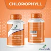 chlorophyll B+-03