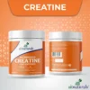 creatine-b+-3