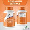 forskolin-b+-3