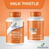 Milk Thistle B+-03