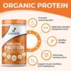 organic-protein-mango-b+-5