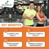 organic-spirulina-key-benefits