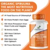 organic-spirulina-b5