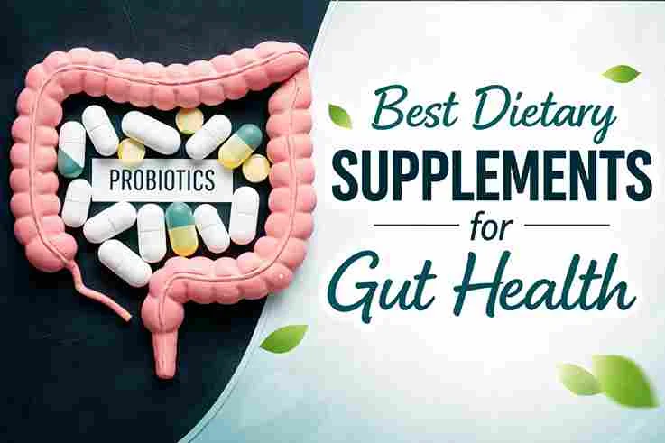 Best Dietary Supplements for Gut Health Image